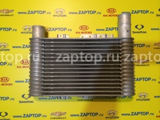 28211-H1302 Интеркулер Hyundai Terracan